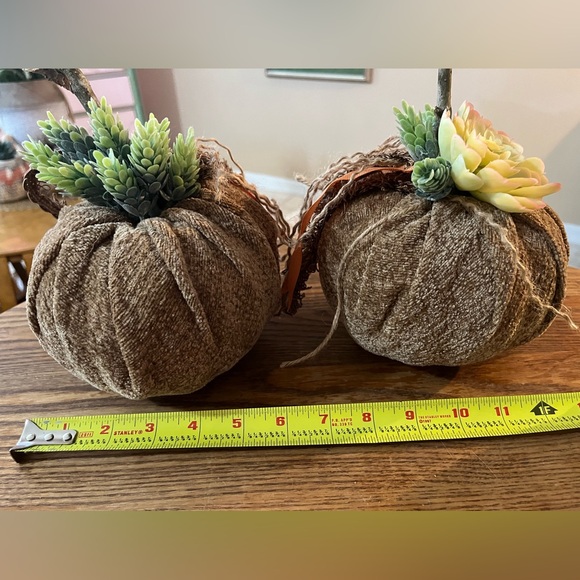 Set of 2 Handmade Succulent Chenille Fall Pumpkins - Fabric Fall Pumpkins - Boho - Picture 13 of 14